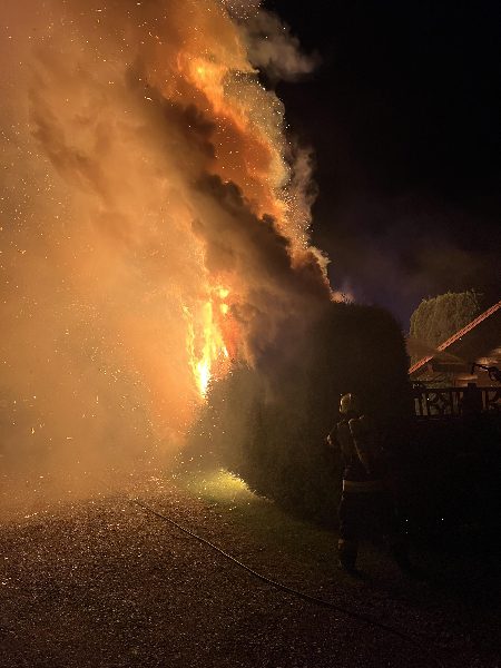 Ausgedehnter Heckenbrand, Übergreifen der Flammen auf einen Bungalow verhindert! (Bild 1)